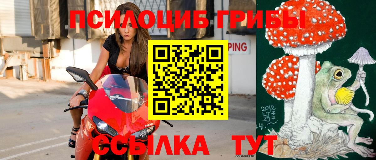 Галлюциногенные грибы Psilocybe Янаул