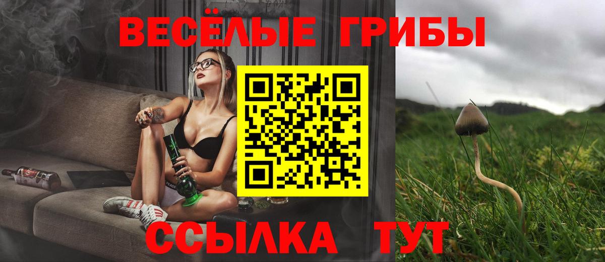 Янаул  Галлюциногенные грибы Psilocybe  Вход с VPN  Галлюциногенные грибы мицелий 